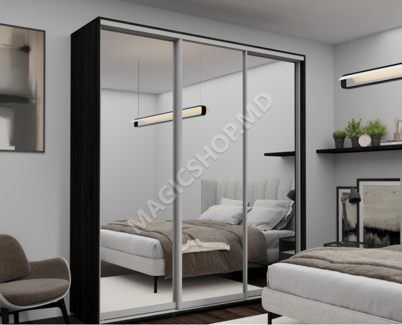 Dulap cu uși glisante Oglinda, Carbon 220x60x240 cm